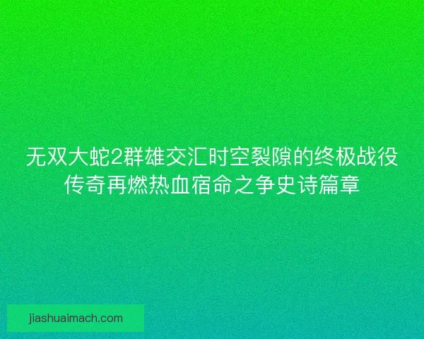 无双大蛇2群雄交汇时空裂隙的终极战役传奇再燃热血宿命之争史诗篇章 无双大蛇2群雄交汇时空裂隙的终极战役传奇再燃热血宿命之争史诗篇章