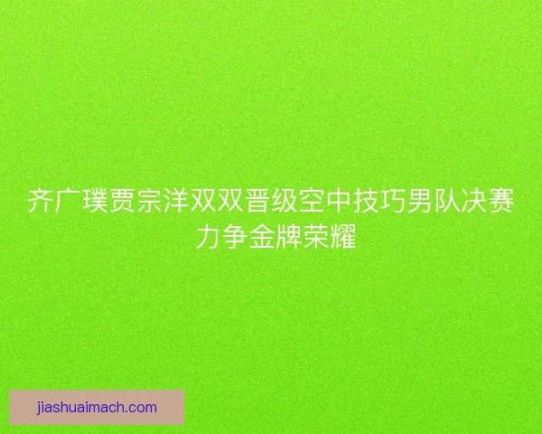 齐广璞贾宗洋双双晋级空中技巧男队决赛 力争金牌荣耀 齐广璞贾宗洋双双晋级空中技巧男队决赛 力争金牌荣耀